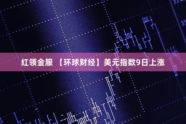 红领金服 【环球财经】美元指数9日上涨
